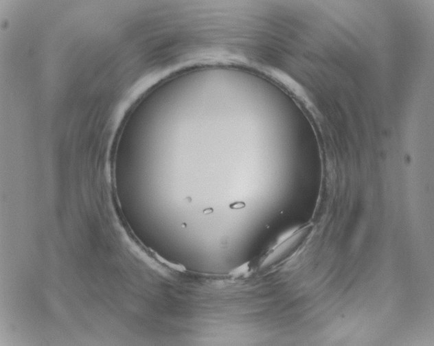 X0000074321335200609152022