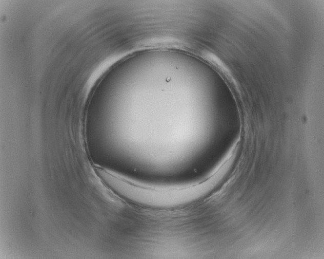 X0000074321336200609152022