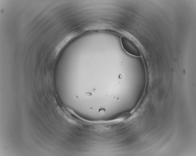 X0000074321337200609152022