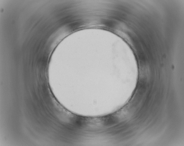 X0000074321338200609152022