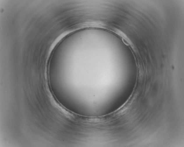 X0000074321339200609152022