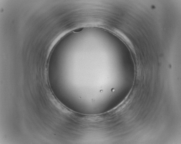 X0000074321340200609152022