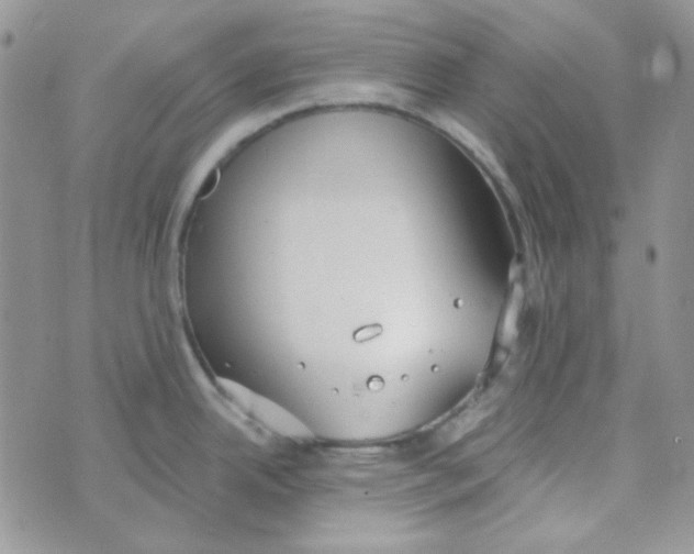 X0000074321342200609152022