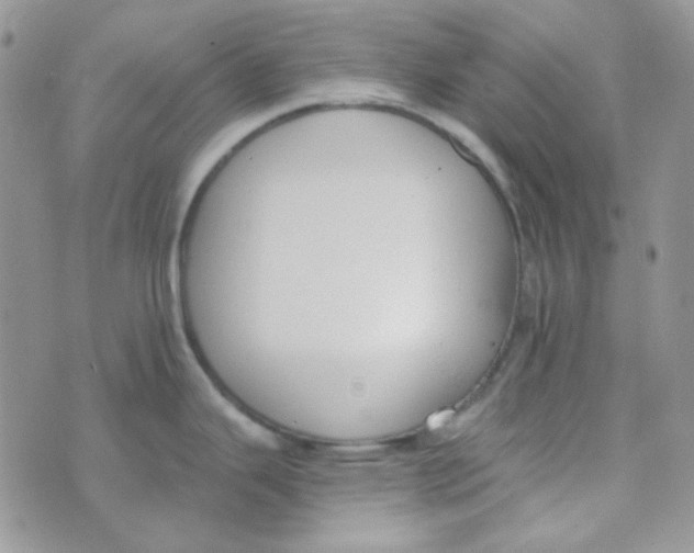 X0000074321343200609152022