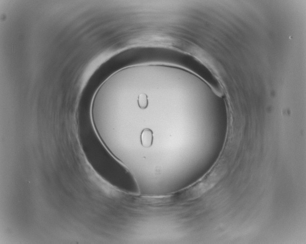 X0000074321344200609152022