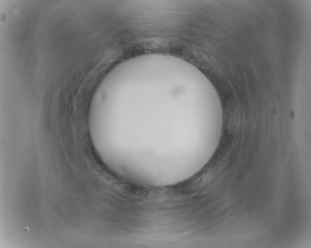 X0000074321345200609152022