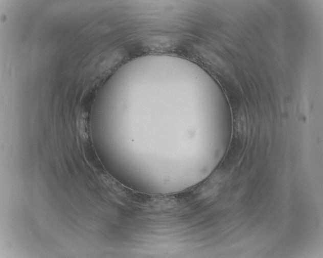 X0000074321346200609152022