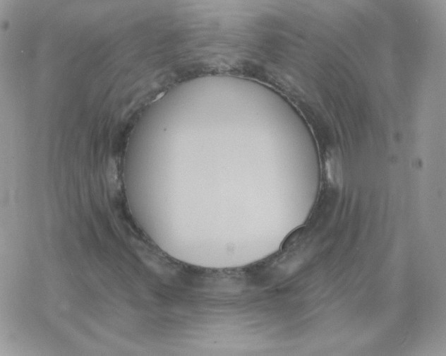 X0000074321347200609152022