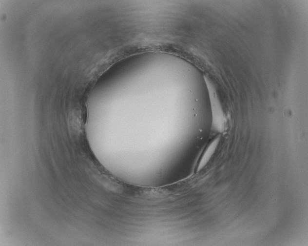 X0000074321348200609152021