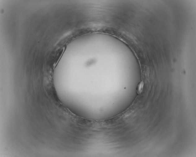 X0000074321349200609152021