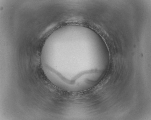 X0000074321350200609152021