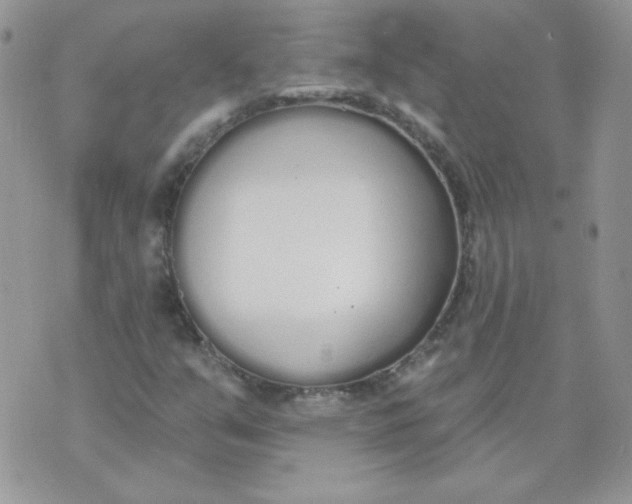 X0000074321351200609152021