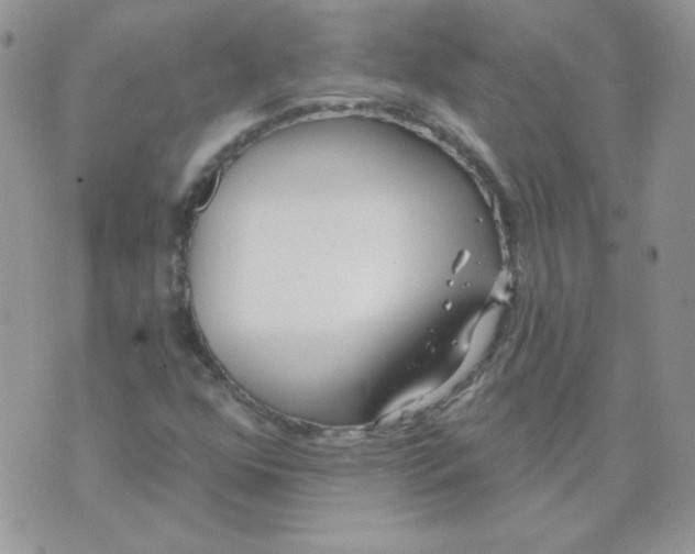 X0000074321352200609152021