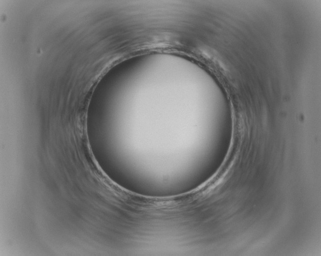 X0000074321353200609152021