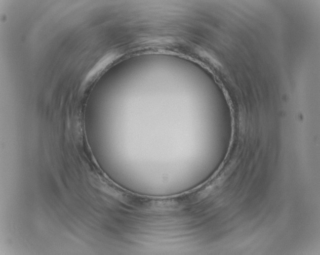 X0000074321354200609152021