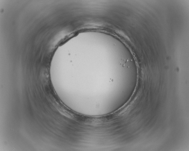 X0000074321355200609152021