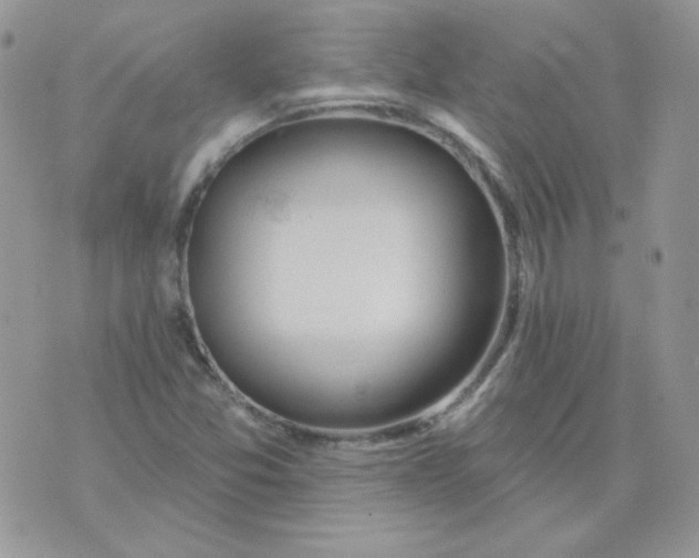 X0000074321357200609152021