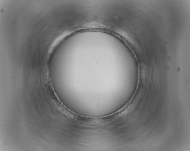 X0000074321358200609152021