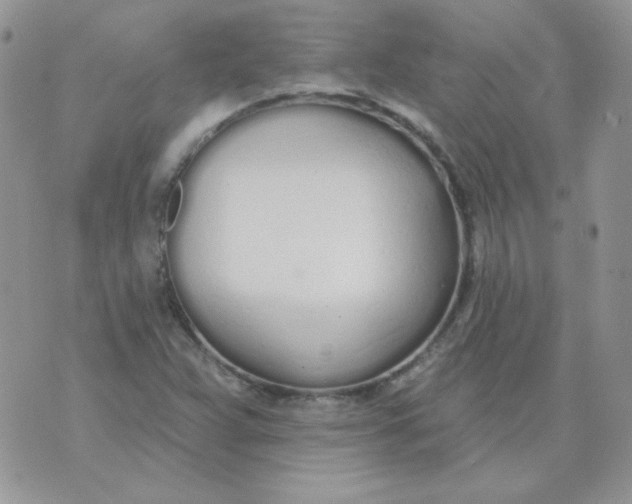 X0000074321359200609152021