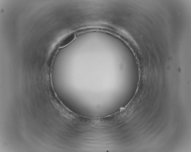 X0000074321360200609152021