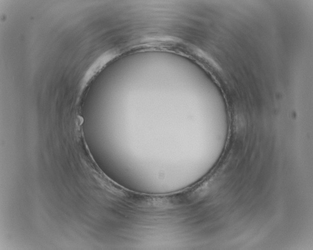 X0000074321362200609152021