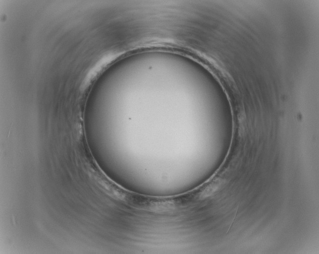 X0000074321363200609152021