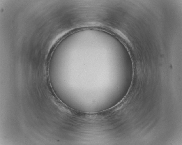 X0000074321364200609152021