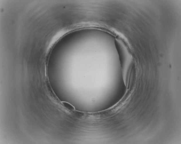 X0000074321365200609152021