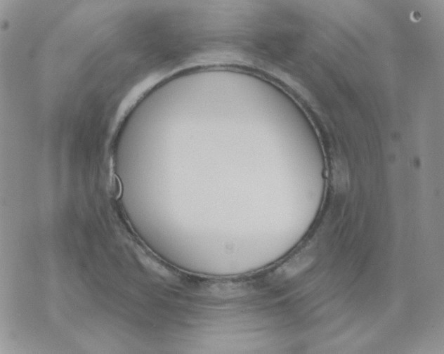 X0000074321366200609152021