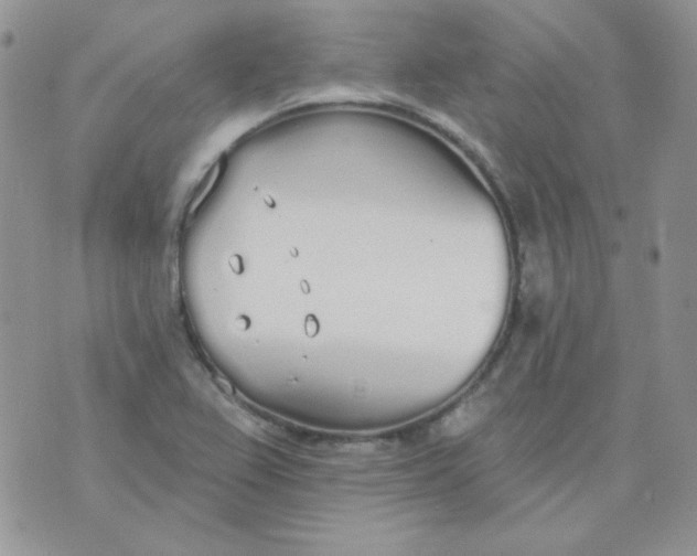 X0000074321367200609152021