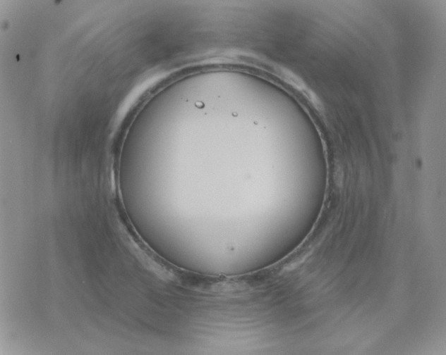 X0000074321368200609152021