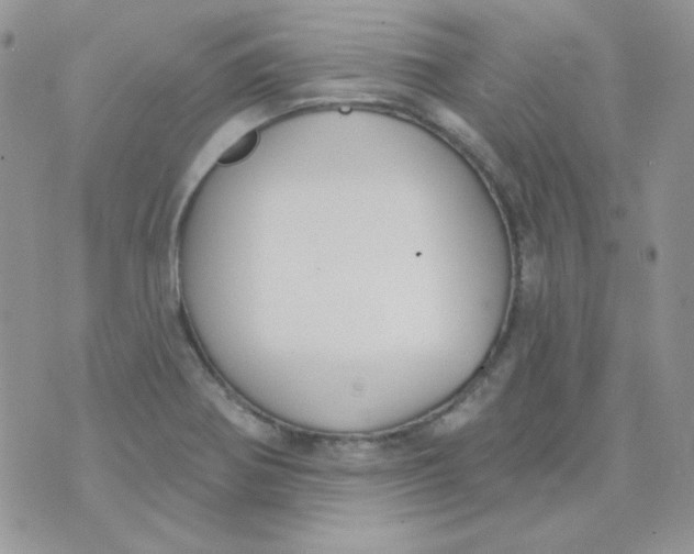 X0000074321370200609152021