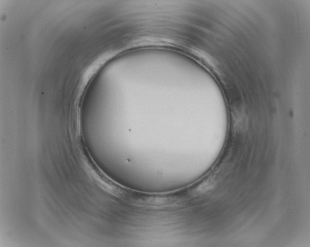 X0000074321371200609152021