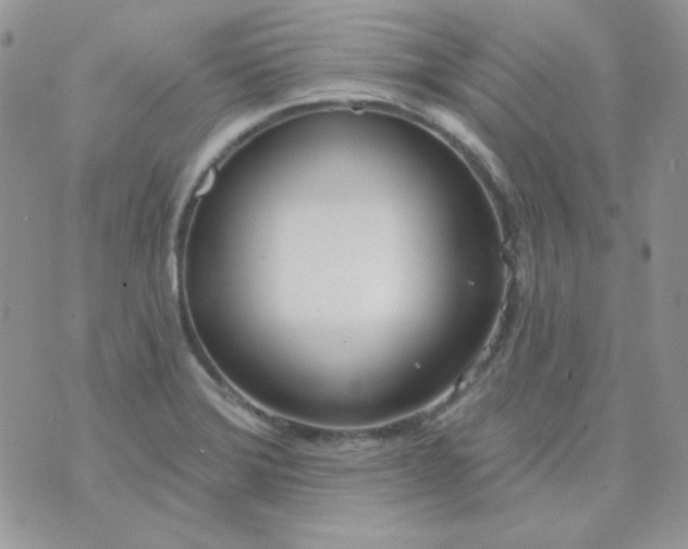 X0000074321372200609152021