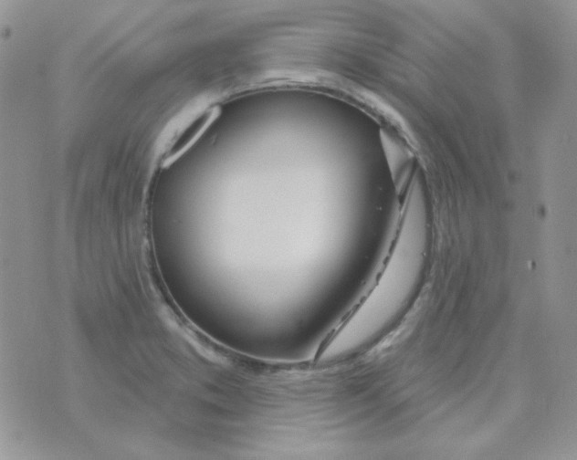 X0000074321373200609152021