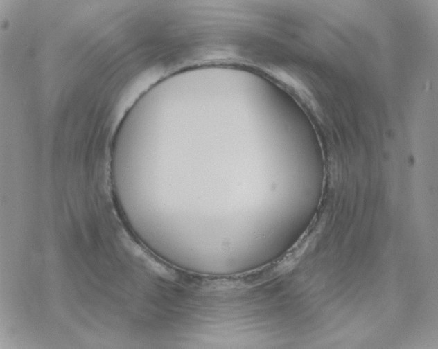 X0000074321374200609152021