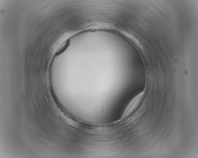 X0000074321375200609152021