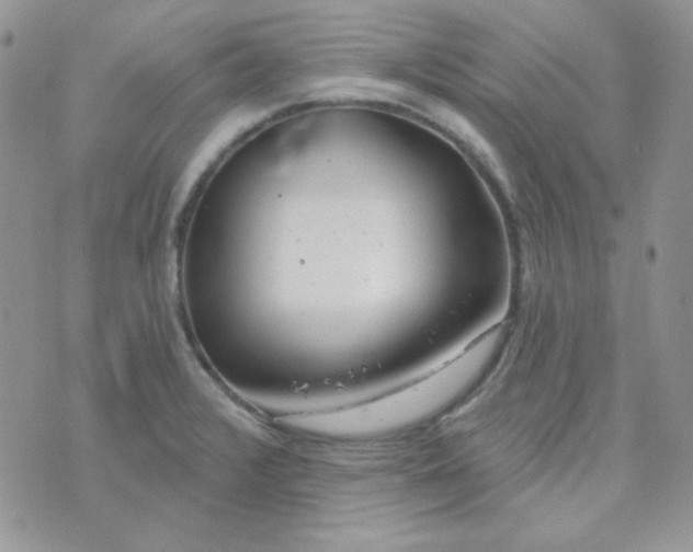 X0000074321376200609152021