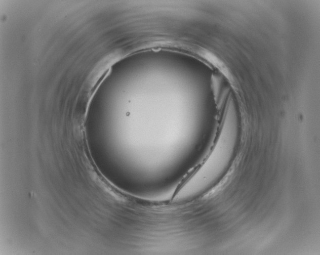 X0000074321377200609152021