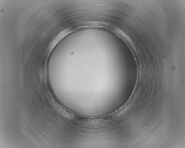 X0000074321378200609152021