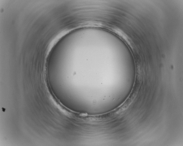 X0000074321379200609152021