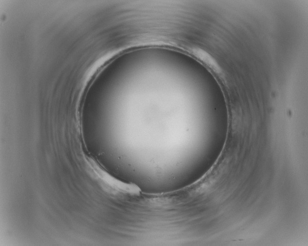 X0000074321380200609152021