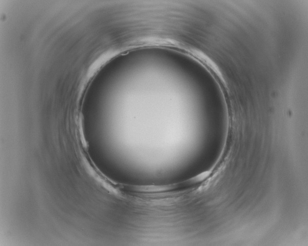 X0000074321381200609152021