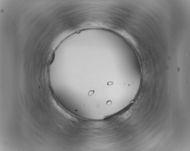 X0000074321382200609152021