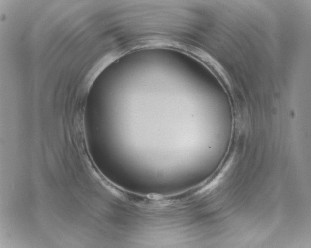 X0000074321385200609152021