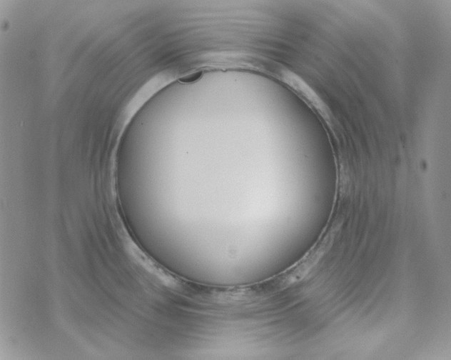 X0000074321386200609152021