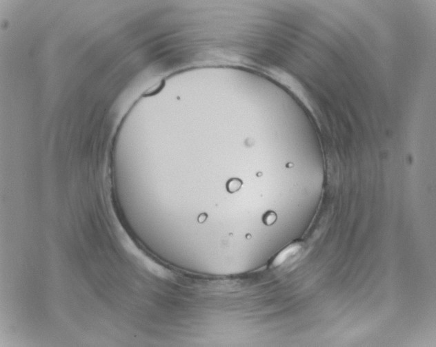 X0000074321387200609152021