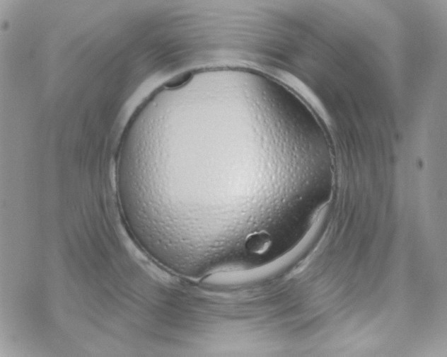 X0000074321388200609152021