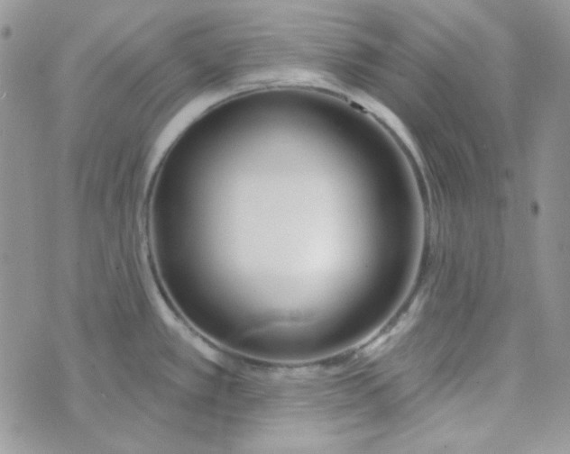 X0000074321389200609152021