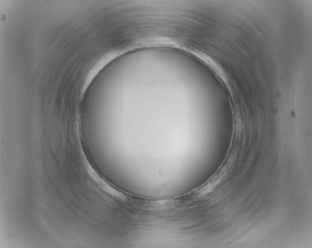 X0000074321390200609152021